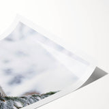 Colorful rolled print showcasing birds from the Birds of Pray design collection, featuring intricate details and vibrant hues, ideal for enhancing home decor.