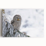 Stretched canvas wall art featuring a vibrant depiction of birds in flight, showcasing intricate details and rich colors, perfect for enhancing any living space decor.