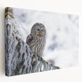 Stretched canvas wall art showcasing a vibrant birds of prey design with intricate details, perfect for enhancing home decor and adding a touch of nature.