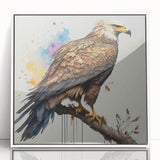 Framed wall art featuring a vibrant birds of prey design in acrylic, showcasing a white frame and colorful illustrations, perfect for home decor enthusiasts.