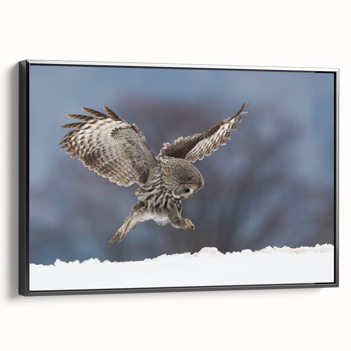 Framed wall art showcasing a striking birds of prey design on a textured canvas, featuring a sleek black frame that enhances the artwork's vibrant colors and details. Perfect for wildlife enthusiasts or modern decor.