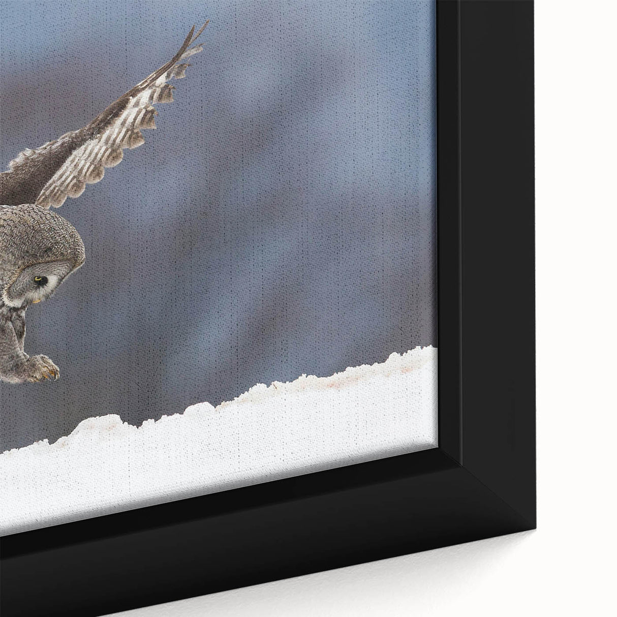 Close-up of a framed canvas wall art piece featuring a vibrant design of birds, showcasing intricate details and rich colors, ideal for home decor and nature enthusiasts.