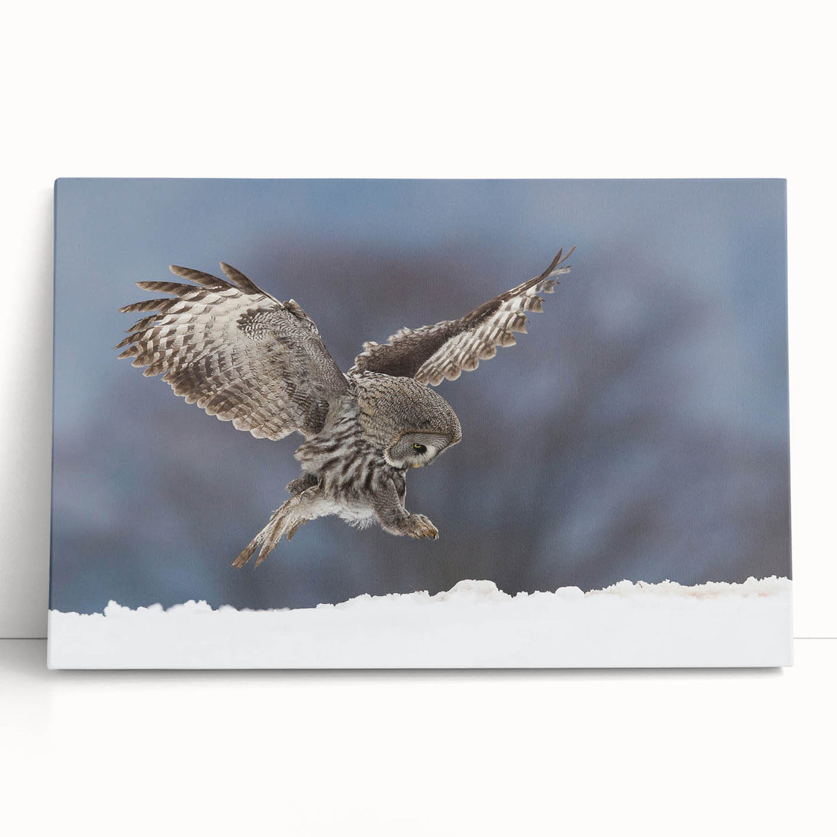 Stretched canvas wall art featuring a vibrant bird design with intricate details, leaning against a neutral wall, perfect for modern home decor.
