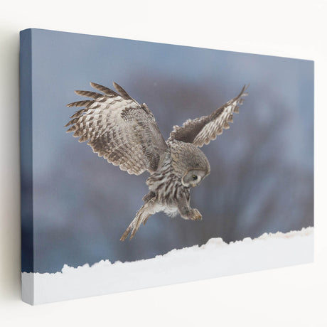 Stretched canvas wall art showcasing a vibrant birds of prey design, featuring detailed illustrations of various raptors in natural colors, ideal for wildlife enthusiasts.