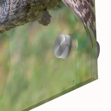 Close-up of a stunning acrylic glass wall art piece showcasing a vibrant birds of prey design, featuring intricate details and vivid colors, perfect for nature enthusiasts.