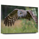 Acrylic glass wall art from the Birds of Prey collection, showcasing a vibrant design of majestic birds in flight, displayed from a side view without pins, perfect for modern decor.