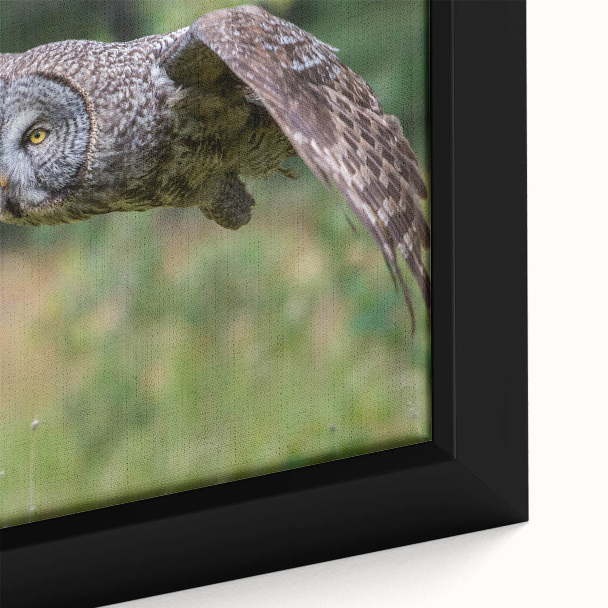 Close-up of a framed canvas wall art featuring intricate birds of prey design in vibrant colors, ideal for home decor enthusiasts and nature lovers.