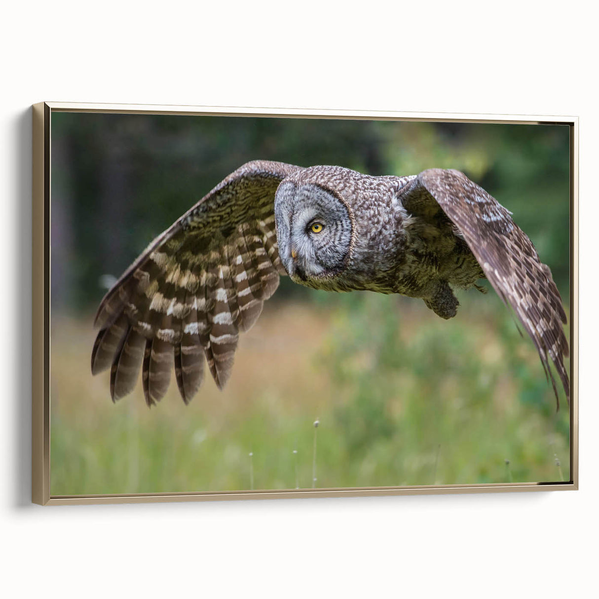 Framed canvas wall art showcasing an intricate design of birds of prey, featuring a gold frame and a textured surface, ideal for enhancing modern decor.