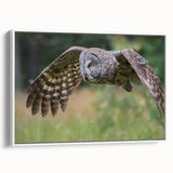 Framed canvas wall art showcasing a vibrant "Birds of Prey" design with intricate details, set against a white background, perfect for home decor enthusiasts.