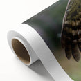 Colorful rolled canvas artwork showcasing a vibrant bird of prey design, featuring intricate details and textures, perfect for modern home decor.