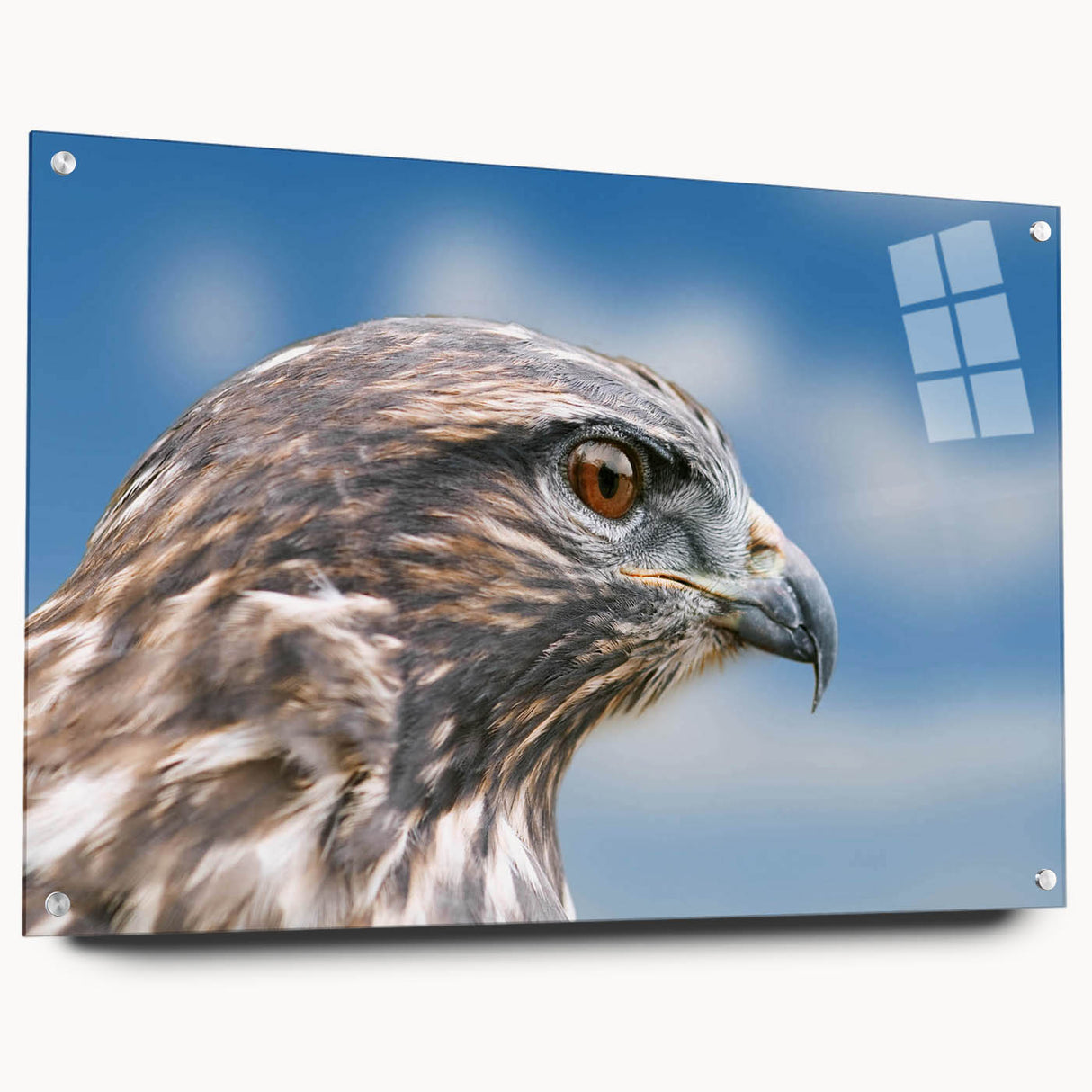 Acrylic glass wall art featuring a vibrant design of birds, showcased in a side view with decorative pins, perfect for enhancing modern interior decor.