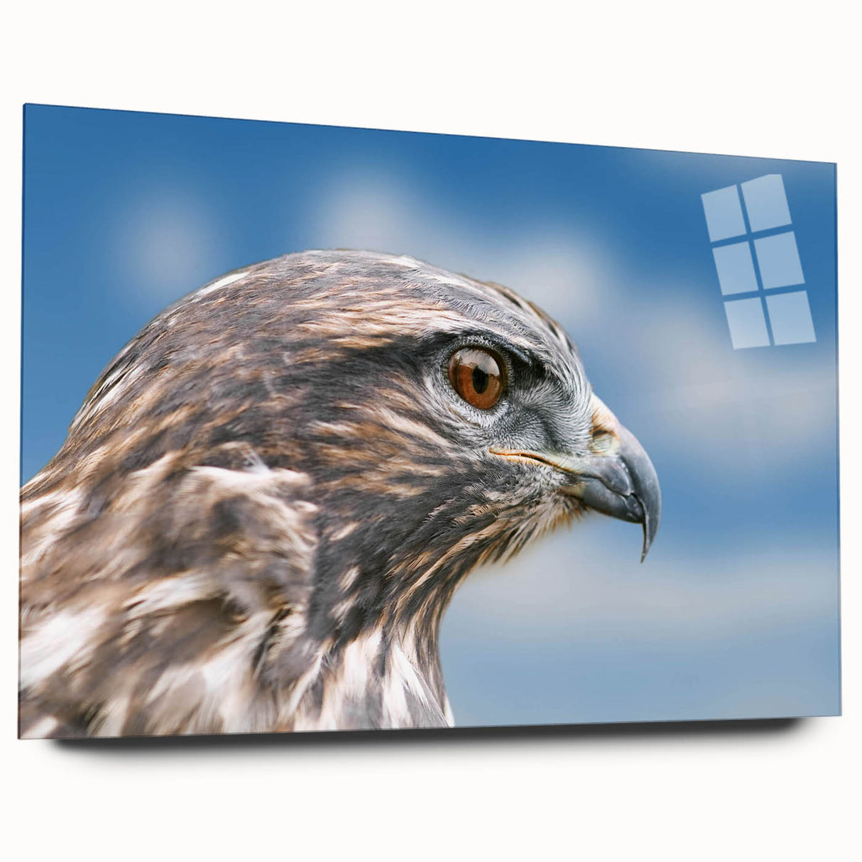Acrylic glass wall art showcasing a vibrant 'Birds of Pray' design, viewed from the side, highlighting its sleek finish and colorful imagery perfect for modern decor.