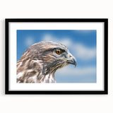 Framed wall art featuring a detailed design of birds, showcasing a black matte finish and an elegant white mat, perfect for home or office decor.