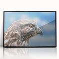 Framed acrylic wall art featuring a collection of birds in a vibrant, colorful design, set against a sleek black frame, perfect for enhancing modern home decor. This artwork showcases intricate details and vivid colors, ideal for bird enthusiasts and art lovers.
