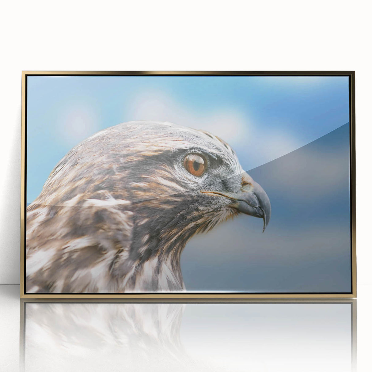 Framed acrylic wall art featuring a vibrant design of birds, showcasing intricate details in gold tones, perfect for enhancing modern home decor.