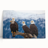 Stretched canvas wall art featuring a vibrant design of colorful birds against a neutral background, perfect for adding a whimsical touch to modern home decor.