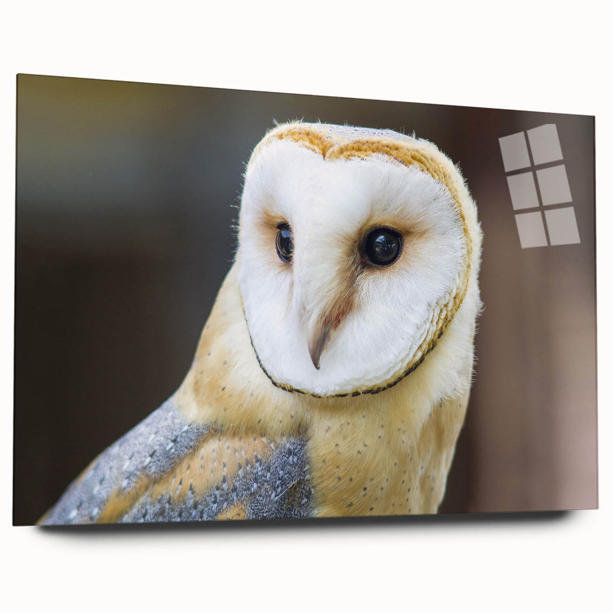 Side view of a modern acrylic glass wall art display showcasing a vibrant birds of prey design, elegantly framed without visible pins, perfect for contemporary decor.