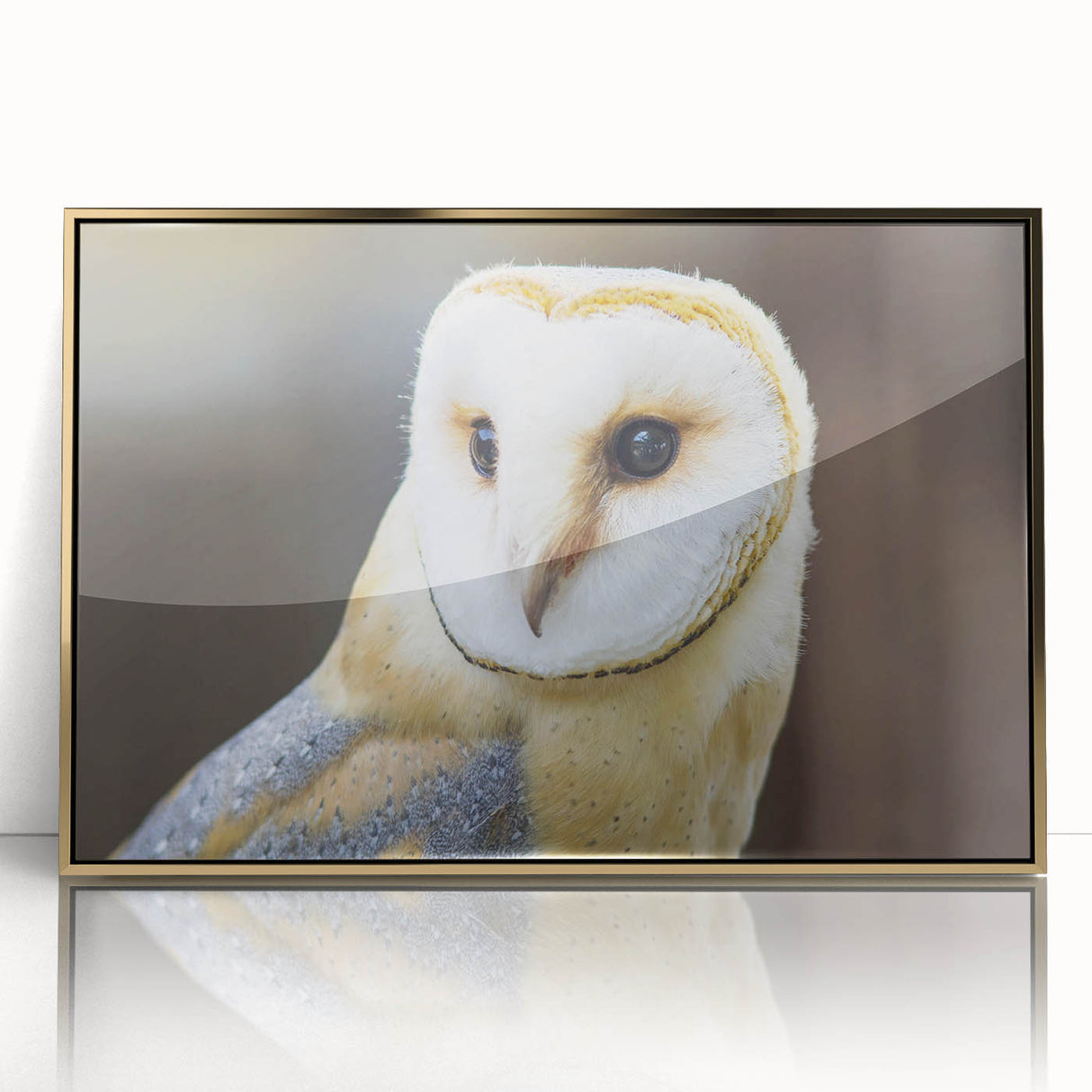 Framed wall art featuring a striking design of various birds in flight, with a gold-acrylic finish that enhances its elegance, perfect for home decor.