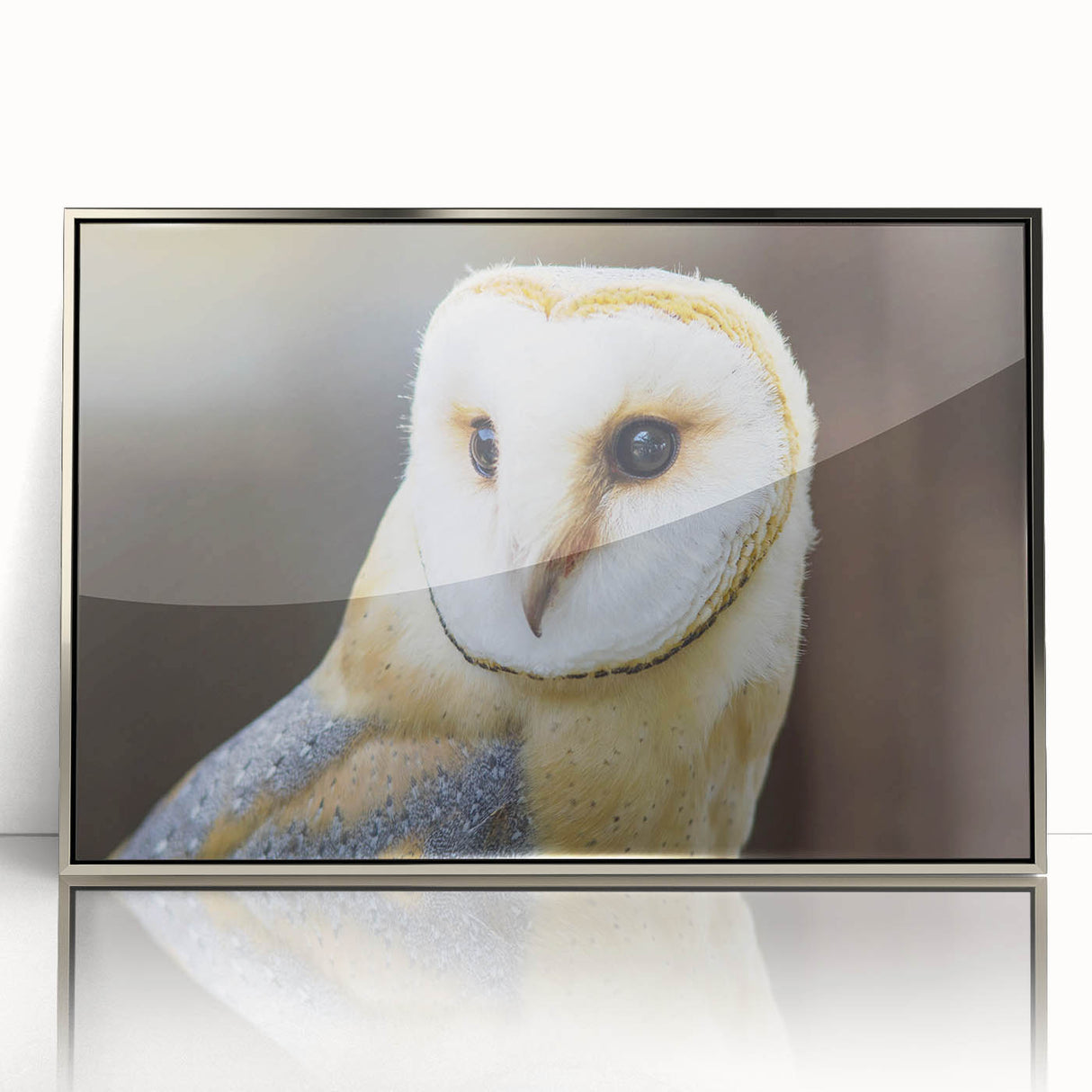 Framed wall art featuring a vibrant birds of prey design in acrylic, showcasing intricate details and a sleek silver frame, ideal for home decor enthusiasts.