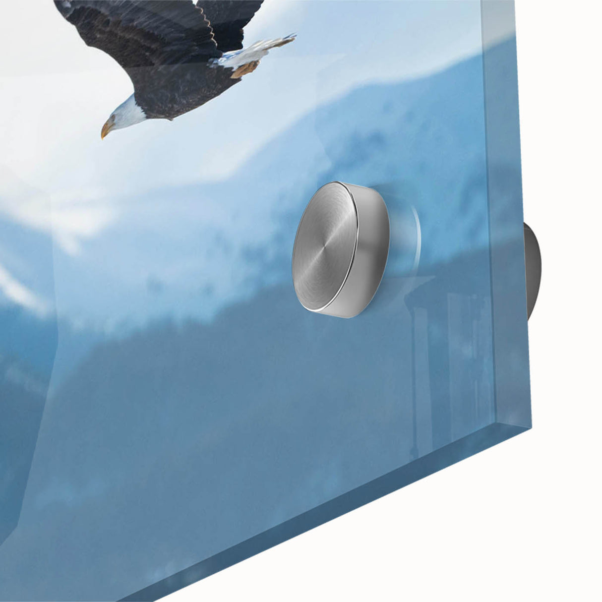 Close-up view of a vibrant acrylic glass wall art piece showcasing colorful birds in flight, ideal for home decor, enhancing living spaces with nature-inspired design.