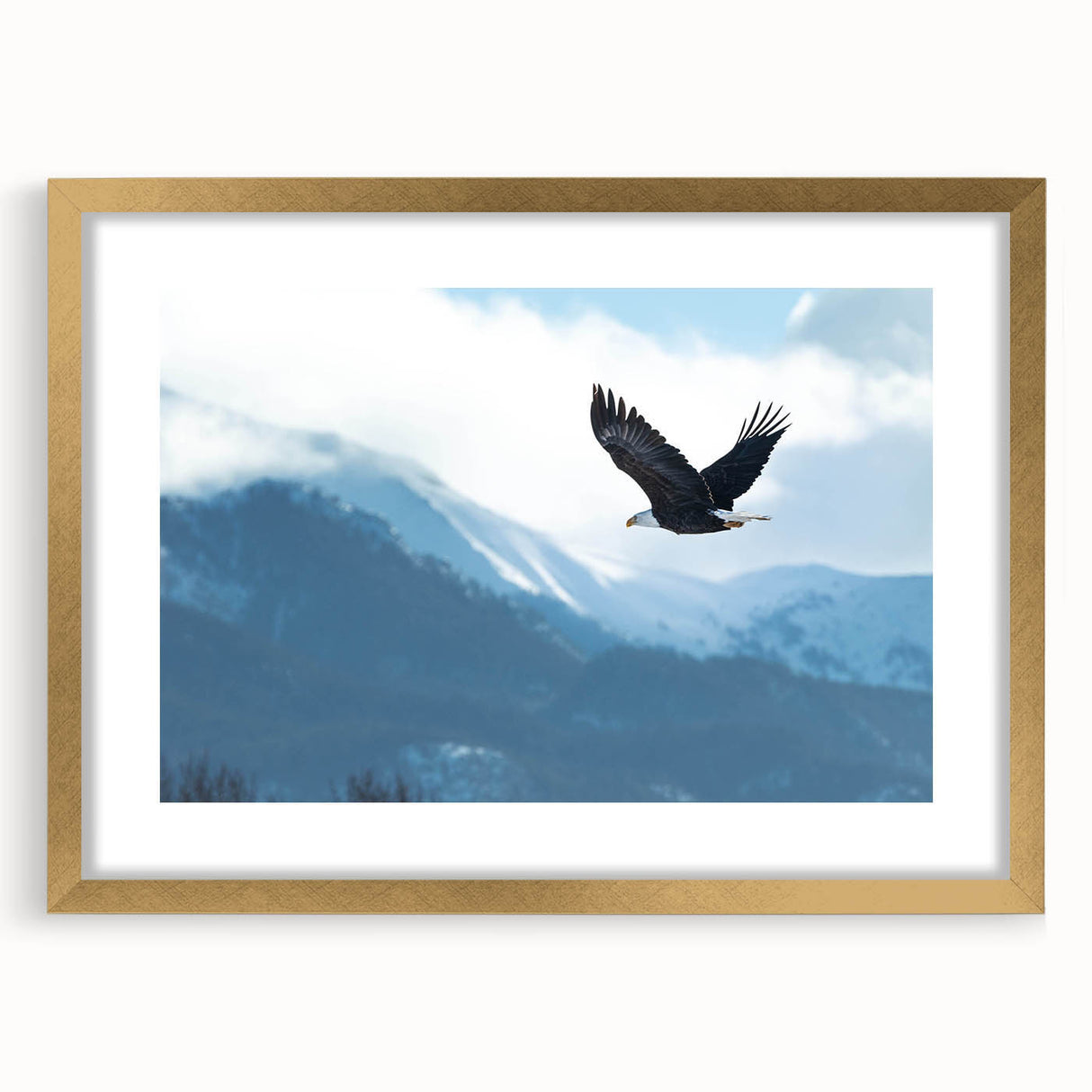 Framed wall art featuring a gold mat and intricate bird designs in a stylish display, perfect for enhancing home decor with a touch of elegance.