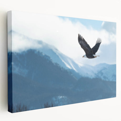 Stretched canvas wall art featuring a vibrant birds of prey design with rich colors and intricate details, showcasing a side view for depth and dimension.