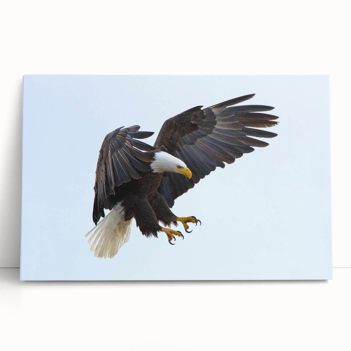 Stretched canvas wall art showcasing a colorful bird design, featuring intricate details and vibrant hues, perfect for adding a lively touch to any decor.