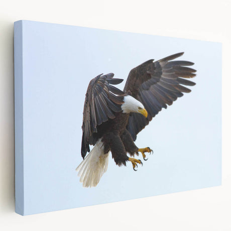 Stretched canvas wall art showcasing a vibrant depiction of birds, featuring intricate details and rich colors, perfect for enhancing home decor.