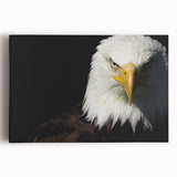 Stretched canvas wall art showcasing a vibrant birds of prey design with intricate details, perfect for enhancing modern decor and wildlife-themed interiors.