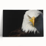Stretched canvas wall art featuring a vibrant design of various birds, showcasing intricate details and colorful patterns, perfect for enhancing home decor.