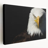 Stretched canvas artwork featuring vibrant birds in flight, showcasing intricate details and vivid colors, perfect for enhancing any modern home decor.
