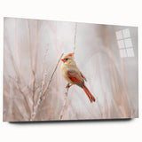 Acrylic glass wall art design showcasing a vibrant cardinal bird, viewed from the side, emphasizing its rich colors and sleek finish, ideal for home decor.