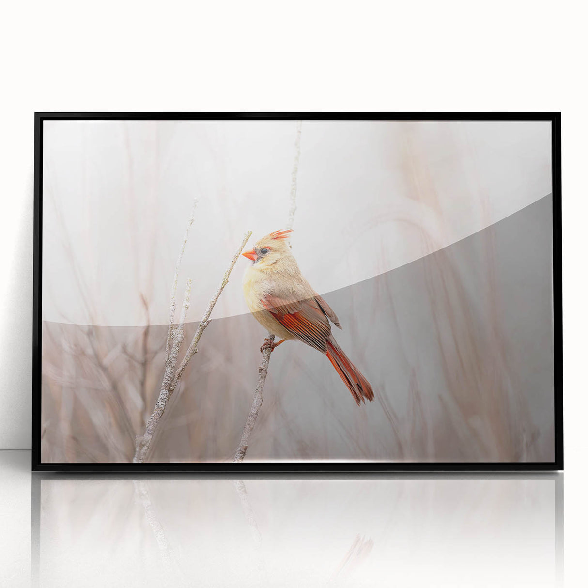 Framed wall art showcasing a vibrant cardinal bird design with a black frame, ideal for adding a touch of nature-inspired elegance to home decor.