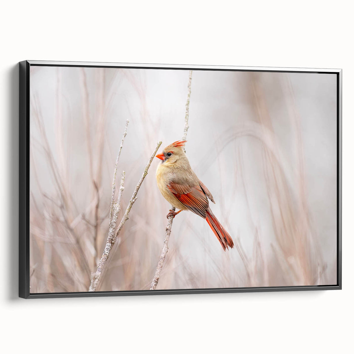 Framed wall art featuring a vibrant cardinal bird design on a textured canvas, showcased in a sleek black frame, perfect for enhancing home décor.