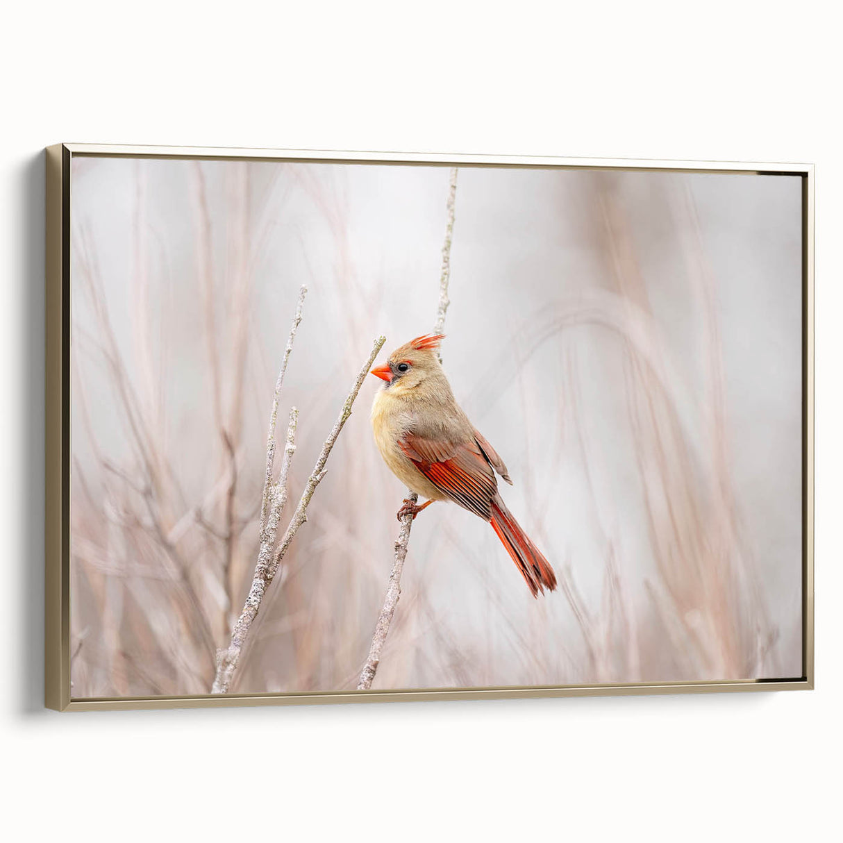 Framed wall art showcasing a vibrant cardinal design on textured canvas, set against a gold frame, ideal for adding a touch of nature-inspired elegance to any decor.