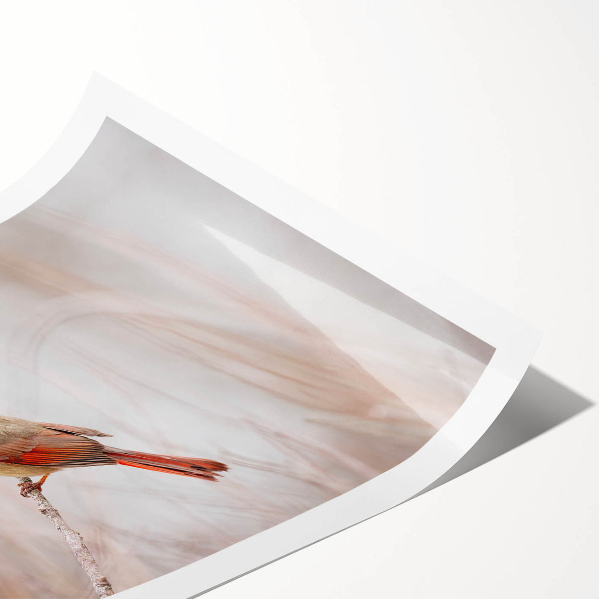 Vibrant rolled print of a cardinal bird wall art design, showcasing intricate details and bold colors, perfect for home decor and nature enthusiasts.