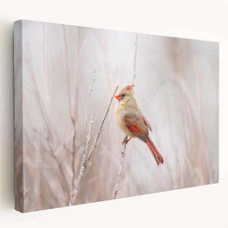 Stretched canvas wall art featuring vibrant red cardinals perched on branches against a soft blue background, ideal for nature-themed decor. This piece adds a touch of elegance and warmth to any living space.