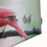 Close-up of a vibrant cardinal wall art design on acrylic glass, showcasing rich red colors and intricate details, perfect for adding a nature-inspired touch to home decor.