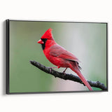 Framed canvas wall art featuring a vibrant cardinal bird design with a black frame, showcased from a side view, perfect for enhancing home decor and nature themes.