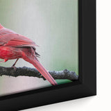 Close-up of a beautifully framed canvas wall art featuring vibrant cardinal birds, showcasing intricate details and rich colors, perfect for home decor enhancement.