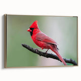 Framed wall art featuring a vibrant cardinal design on a textured canvas, elegantly displayed with a gold frame, perfect for adding a touch of nature to home decor.