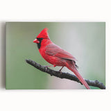 Vibrant cardinal wall art design on stretched canvas, showcasing detailed red birds perched on branches against a soft, neutral background, perfect for home decor.