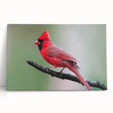 Vibrant cardinal bird wall art design on stretched canvas, featuring rich red and green colors, ideal for nature-themed home decor and bird enthusiasts.