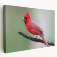 Vibrant cardinal wall art collection on stretched canvas, showcasing rich red and green colors, ideal for adding a nature-inspired touch to home decor.