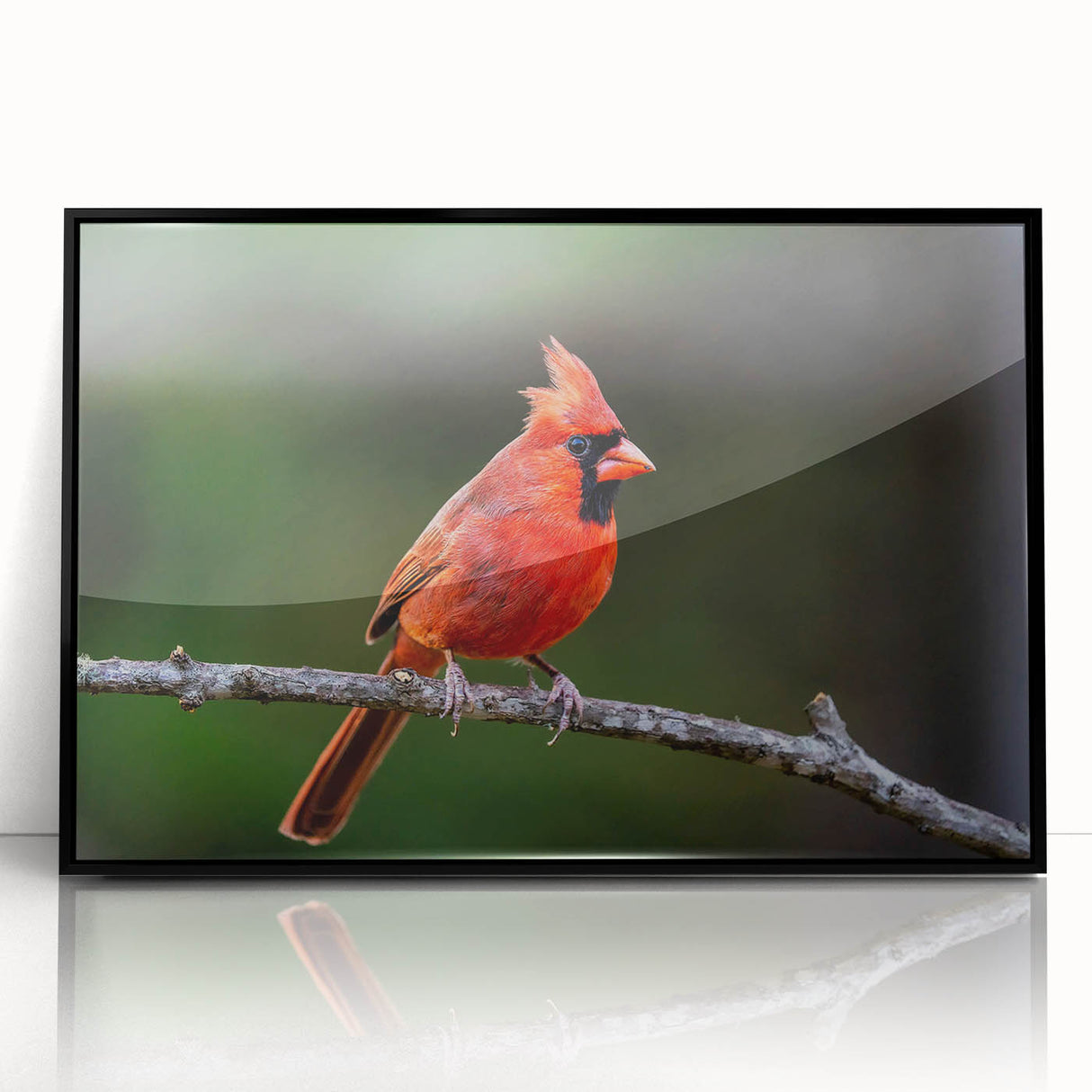 Framed wall art showcasing a vibrant cardinal design in red and black, elegantly displayed with an acrylic front for a modern touch, perfect for home decor.