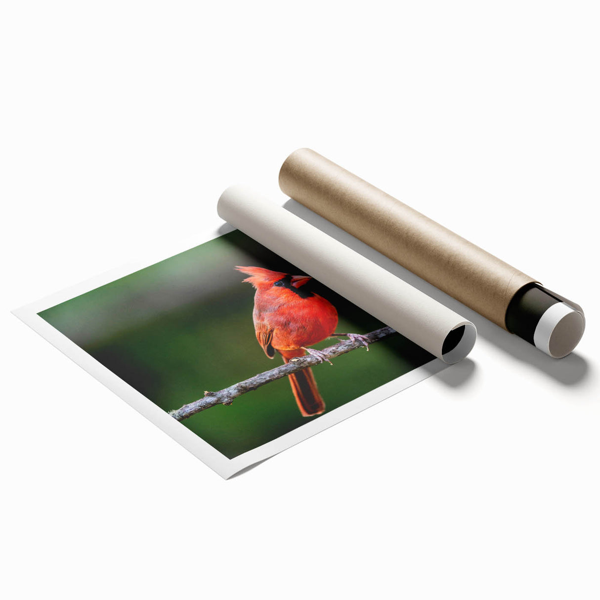 Vibrant cardinal wall art print showcasing detailed red birds perched on branches, designed for home decor. Perfect for bird lovers and nature enthusiasts.