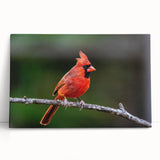 Vibrant stretched canvas wall art featuring a majestic cardinal perched on a branch, showcasing rich red and green colors, ideal for nature lovers. Perfect addition to home decor.