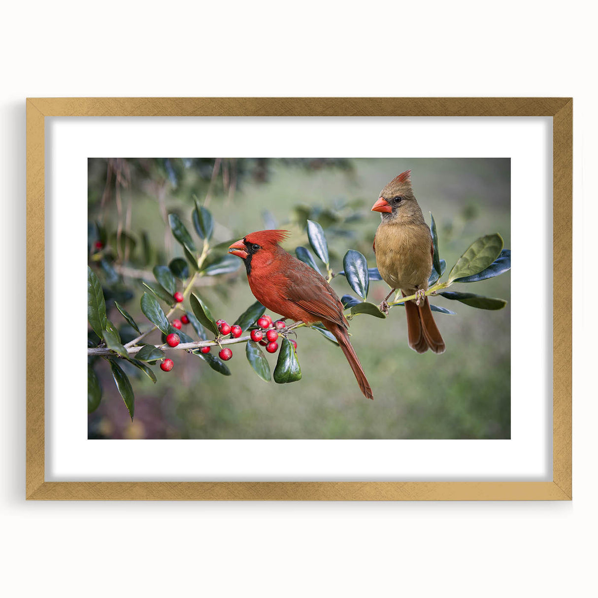 Framed wall art featuring a vibrant cardinal design, elegantly displayed with a gold frame and mat, perfect for enhancing home decor with a touch of nature.