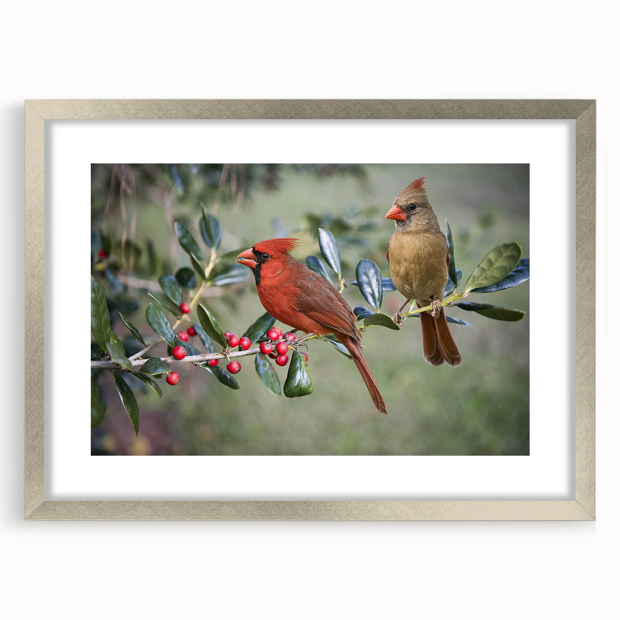 Framed wall art collection showcasing vibrant red cardinal birds against a serene nature backdrop, highlighted by a sleek silver frame and matting. Perfect for bird lovers and nature enthusiasts, this piece adds a touch of elegance to any home decor.