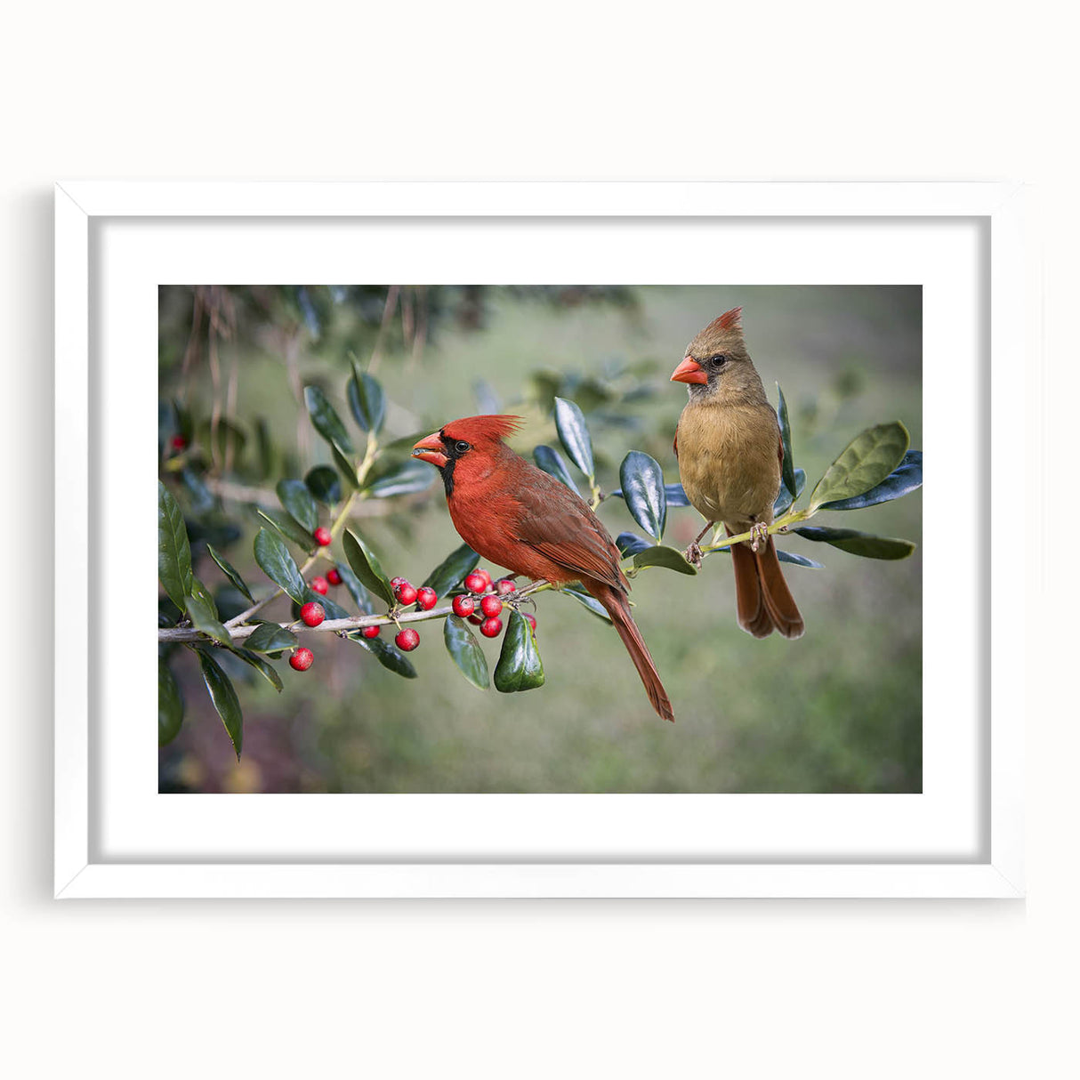 Framed wall art featuring vibrant red cardinals perched on branches, accented by green foliage, presented in a sleek white frame with a mat for a polished look. Ideal for nature lovers and home decor enthusiasts.